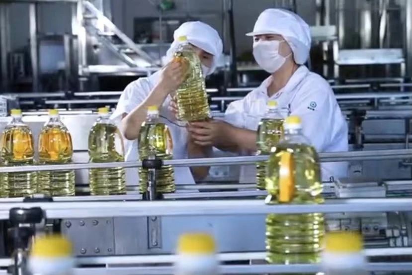 熊猫体育(中国版权)官方网站-最全赛事直播平台