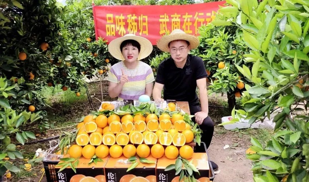 熊猫体育(中国版权)官方网站-最全赛事直播平台