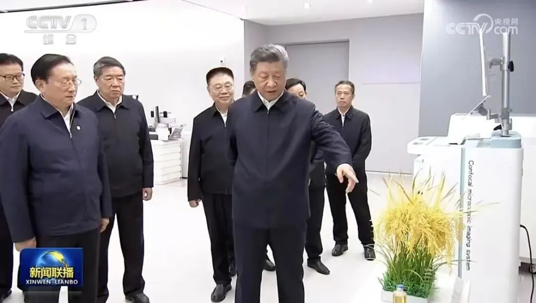 熊猫体育(中国版权)官方网站-最全赛事直播平台